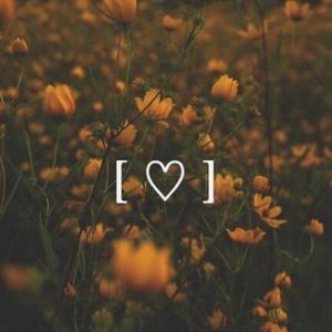 Meet your Posher, Cadynce